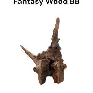 pinwood bb.jpg